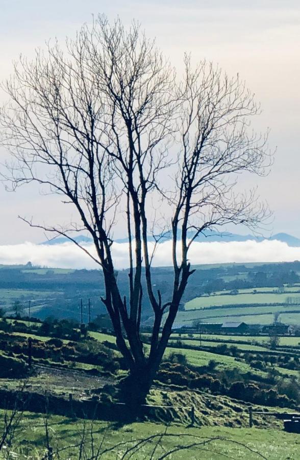 The Collins,Our View From The Top Listowel Exteriör bild